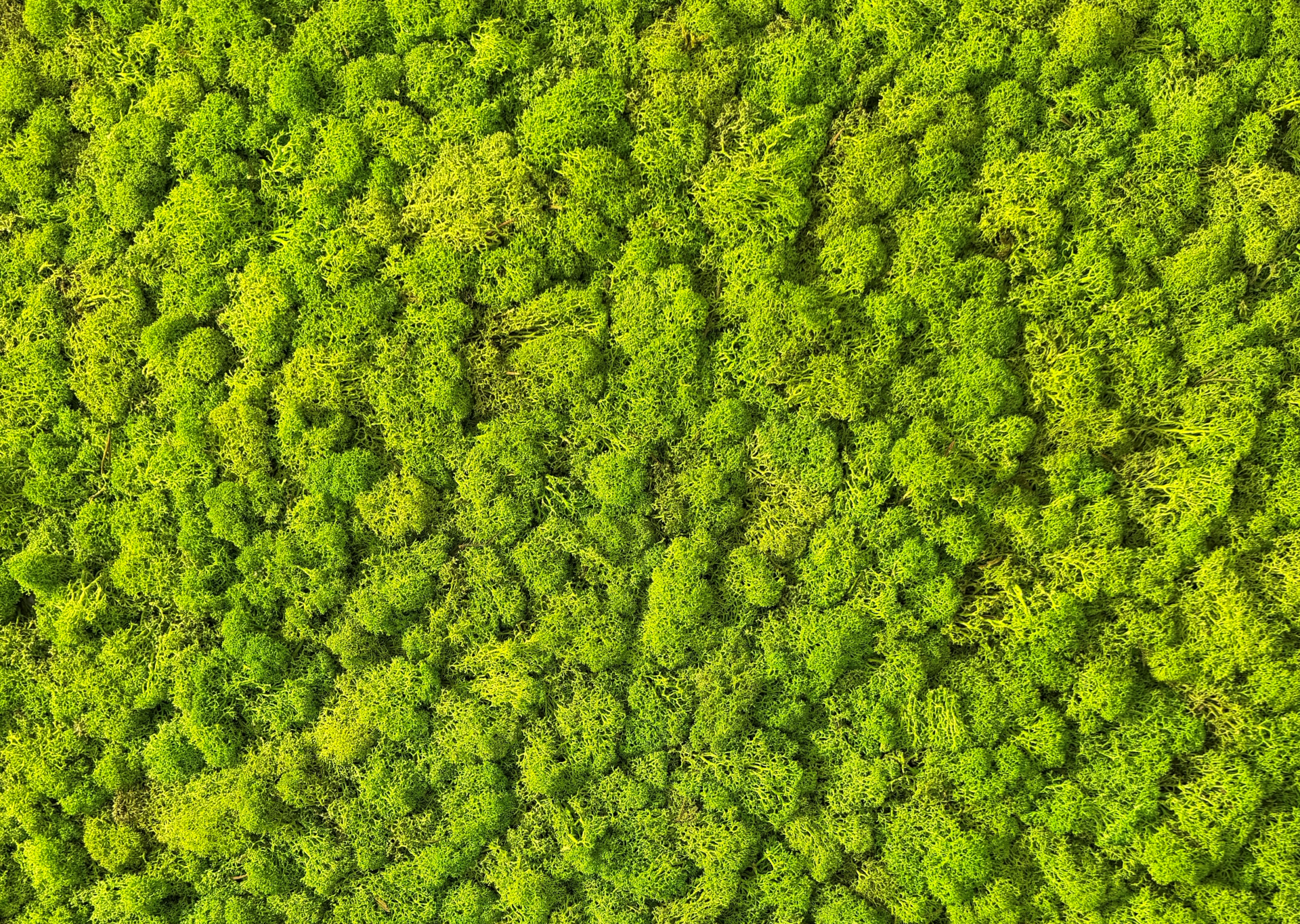 fairmoose Aussichten für Ihre stylishen Räume! fairmoose Aussichten für Ihre stylishen Räume!